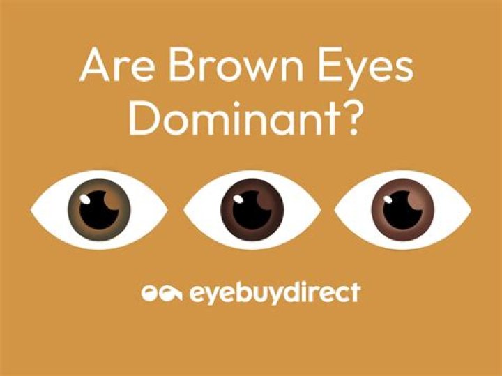 Is brown dominant over blue eyes?