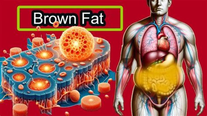 Is brown fat cancerous?