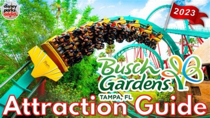 Is Busch Gardens owned by China?