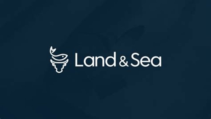 Is calamari shellfish or fish?