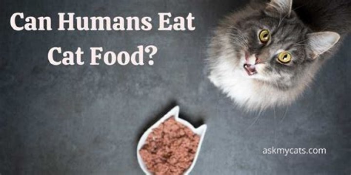 Is cat food edible for humans?