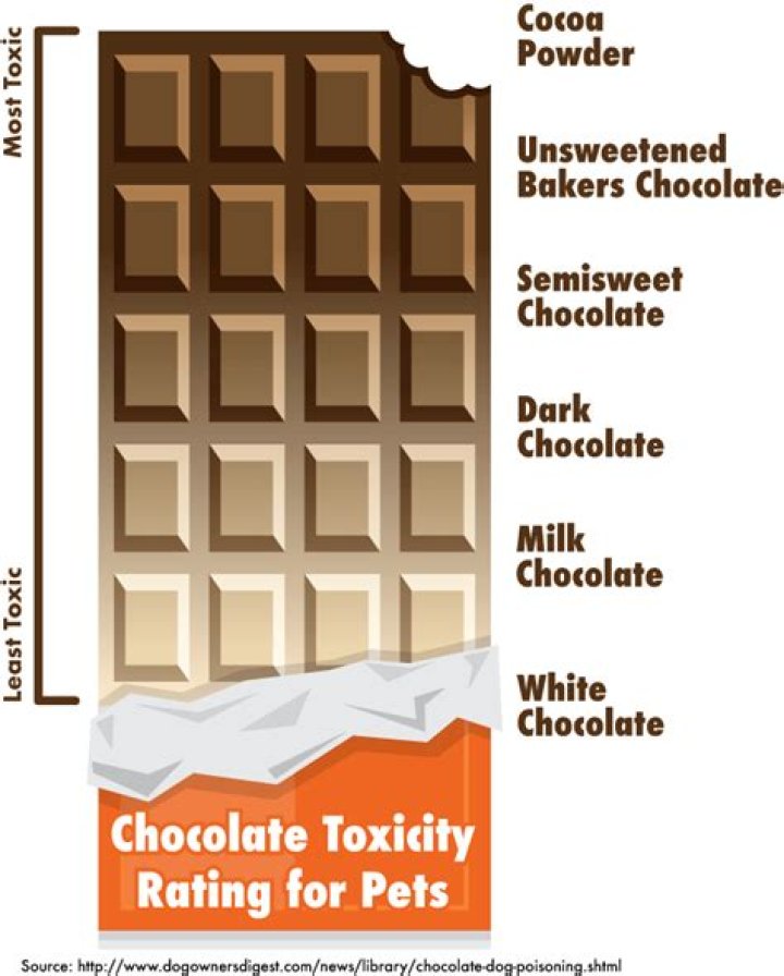 Is chocolate good for dogs?