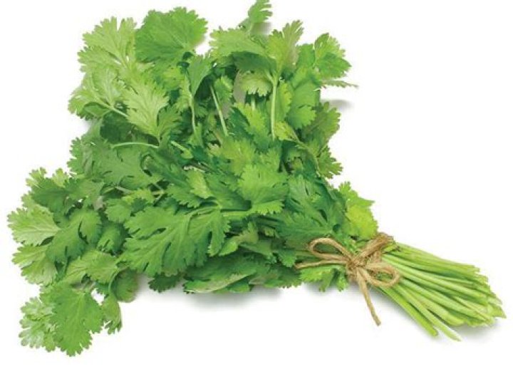 Is coriander good for chickens?