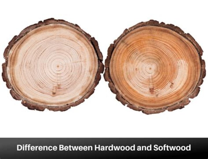 Is cottonwood hard or soft wood?