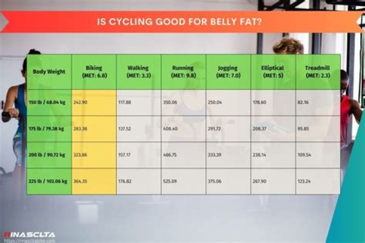 Is cycling good for belly fat?