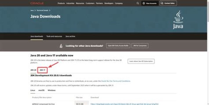 Is downloading Java safe?