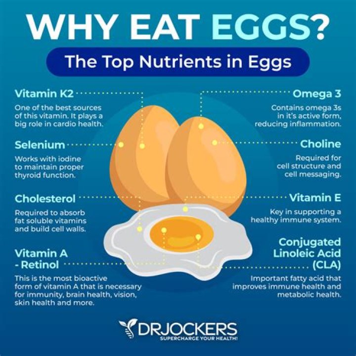 Is egg good for brain?