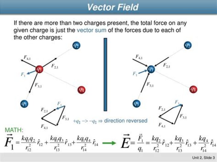 Is electric field a vector?