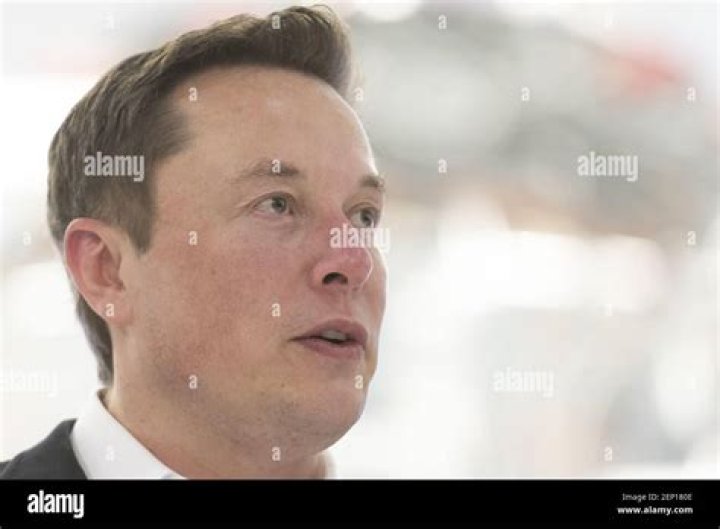 Is Elon Musk an engineer?