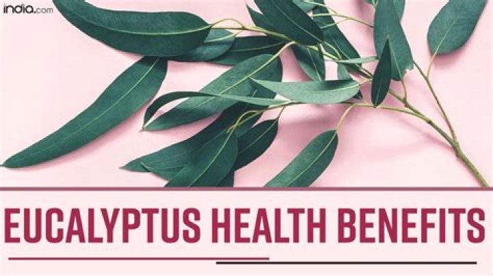 Is eucalyptus good for acne?