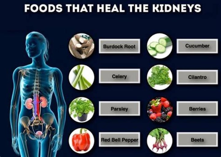 Is fasting good for kidneys?