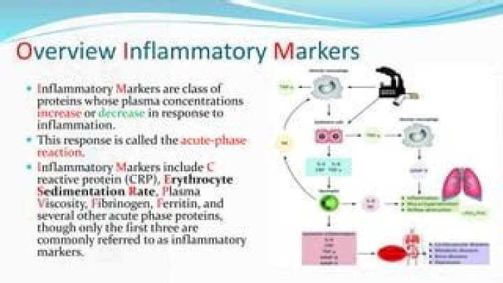 Is ferritin an inflammatory marker?