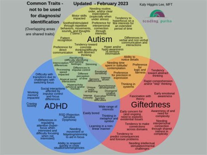 Is gifted a form of autism?