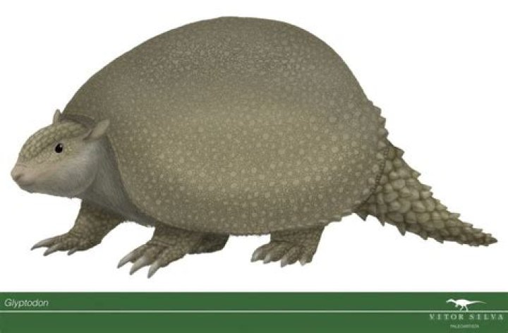 Is Glyptodon a dinosaur?