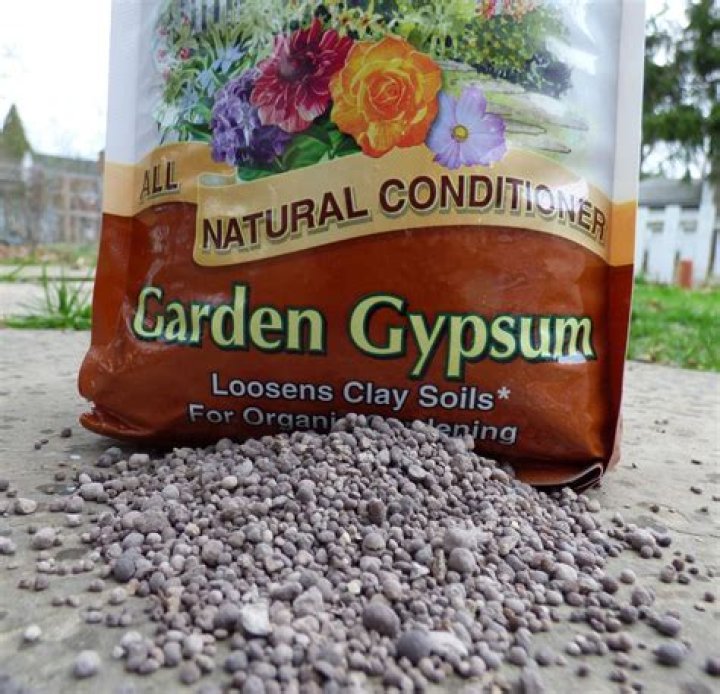 Is gypsum good for vegetable garden?