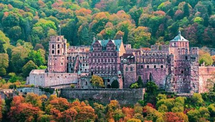 Is Heidelberg part of the Black Forest?