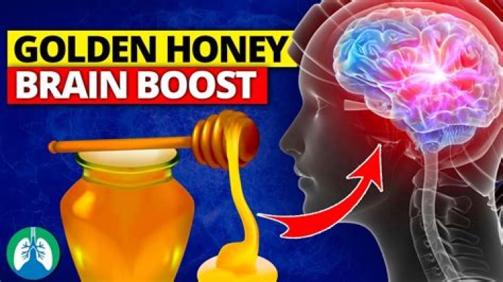 Is Honey Good For brain?