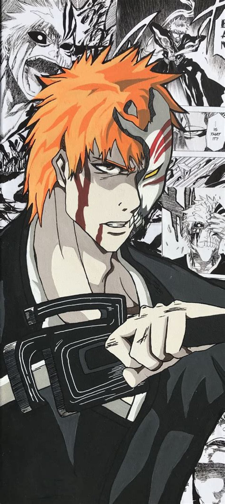 Is Ichigo Half Hollow?