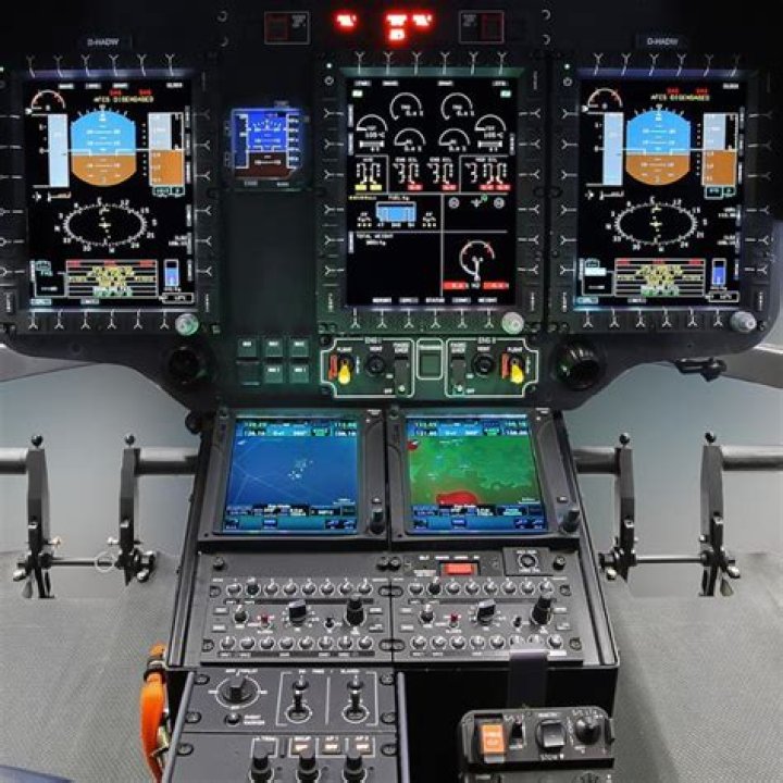 Is it cruel to fly a dog in cargo?