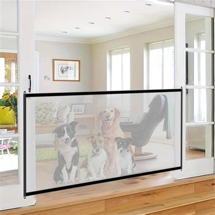 Is it cruel to keep dog in kitchen?