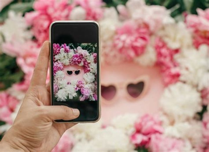 Is it easier to grow on Instagram or YouTube?