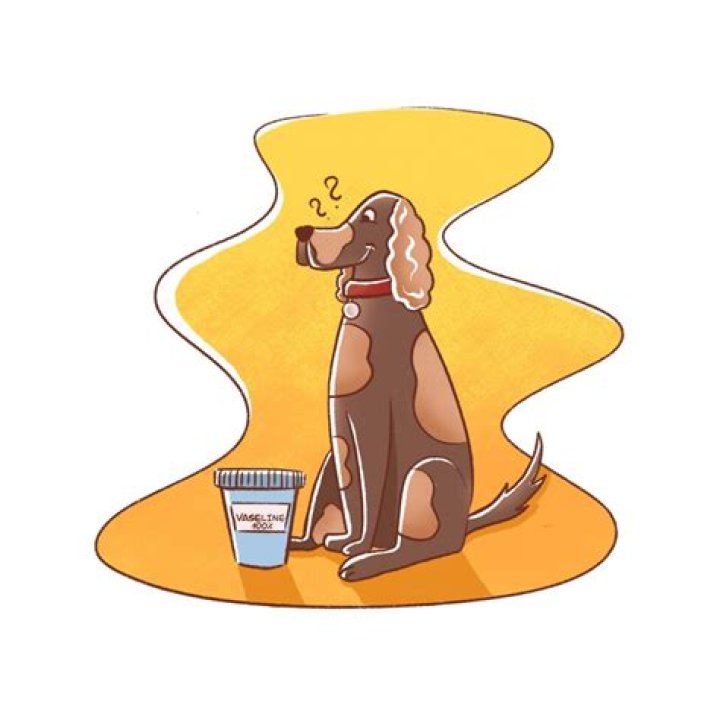 Is it OK to fast puppy?