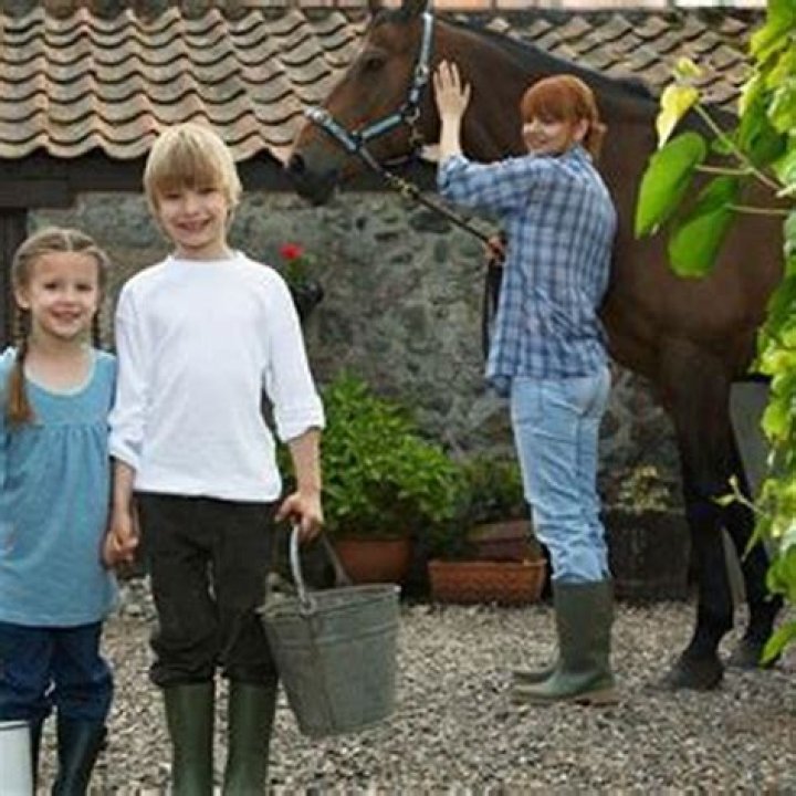 Is it okay to feed a horse once a day?