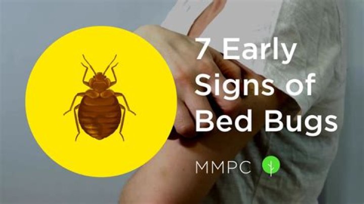 Is it possible to have just a few bed bugs?