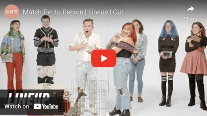 Is Jello made from horse?