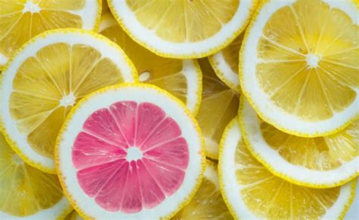 Is lemon skin poisonous?