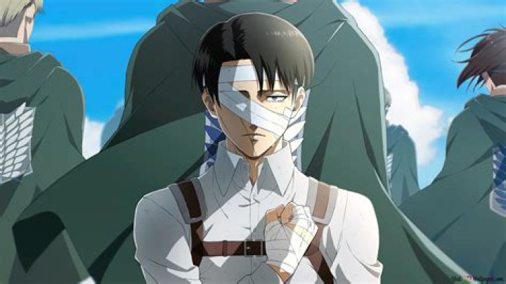 Is Levi Ackerman Mikasa's brother?