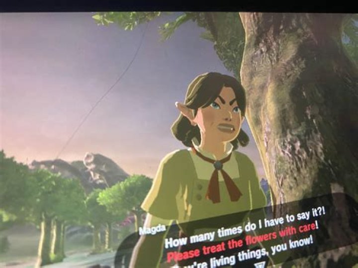 Is Lyndae a girl Botw?