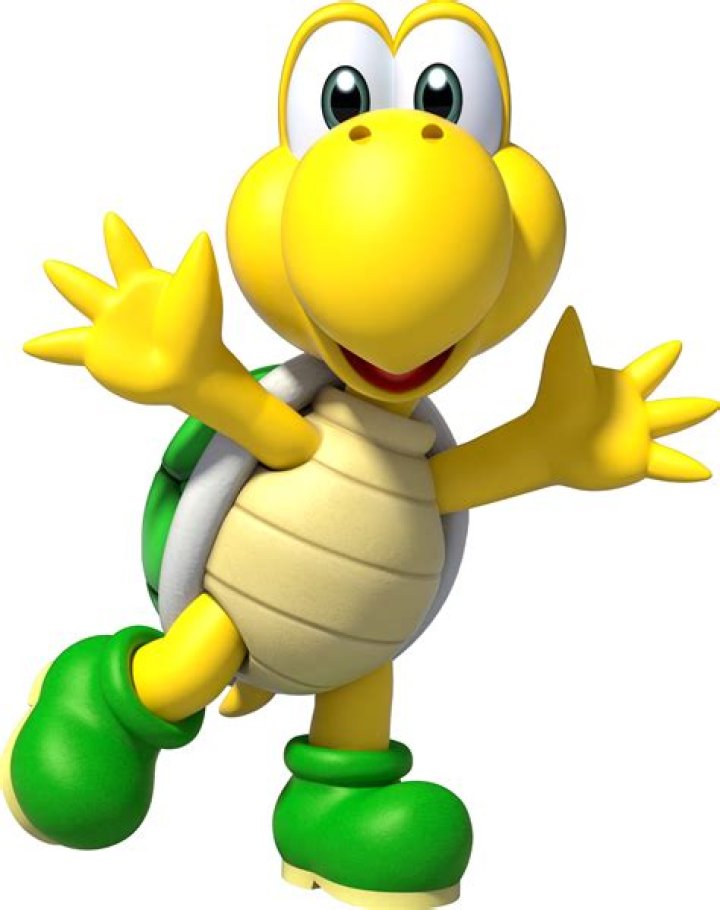 Is Magikoopa a turtle?