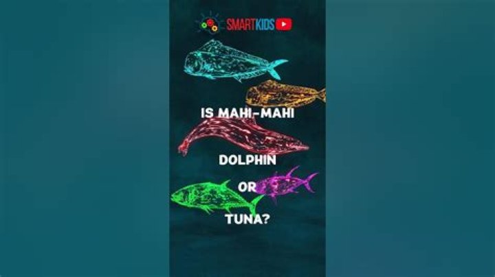 Is mahi-mahi tuna or dolphin?