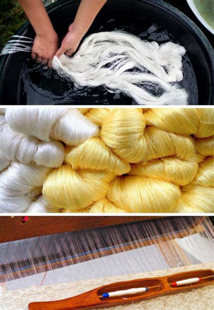 Is making silk cruel?