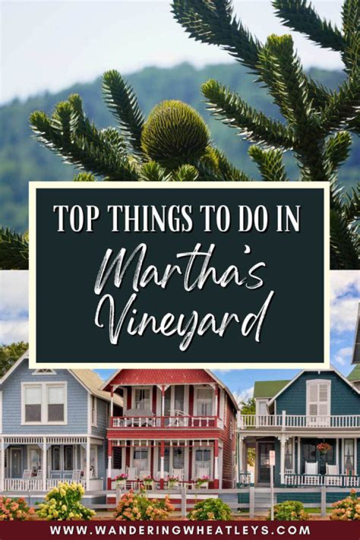 Is Martha's Vineyard foggy?