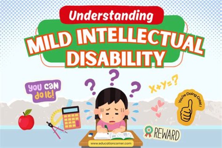 Is Mild intellectual disability a disability?