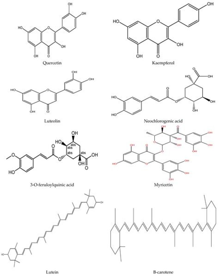 Is moringa acidic or alkaline?