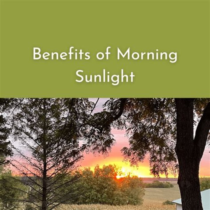 Is morning sun better for plants?