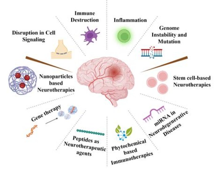 Is muscle weakness neurological?