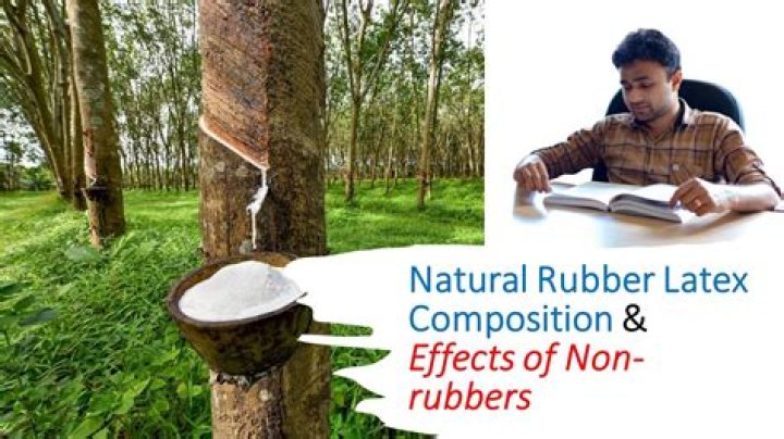 Is natural rubber compostable?