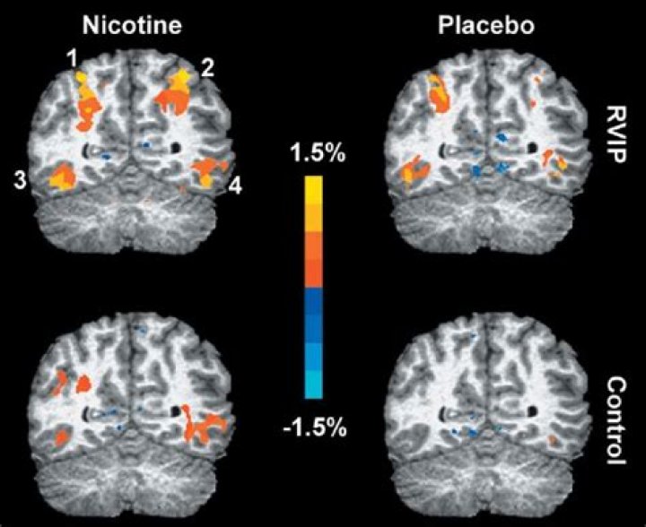 Is nicotine good for your brain?