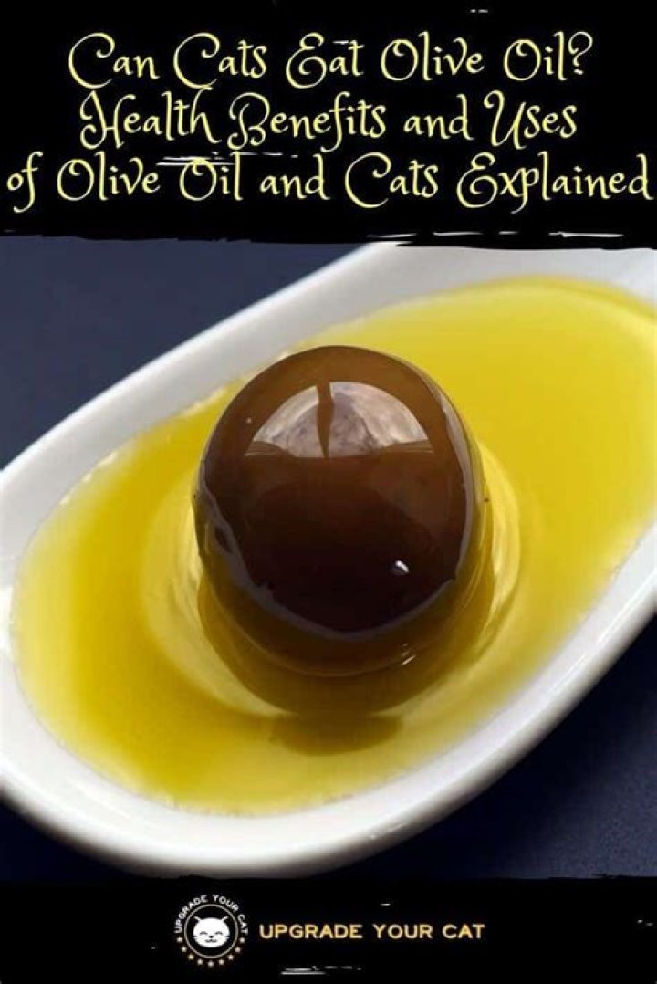 Is olive oil poisonous?