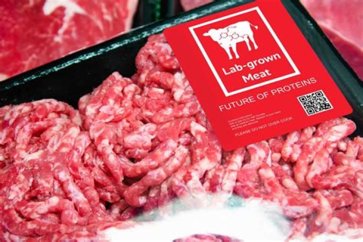 Is PETA against lab-grown meat?