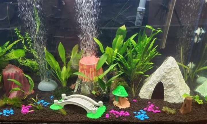 Is PETG aquarium safe?