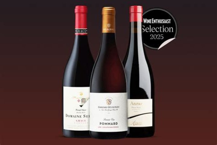 Is Pinot Noir a Champagne?