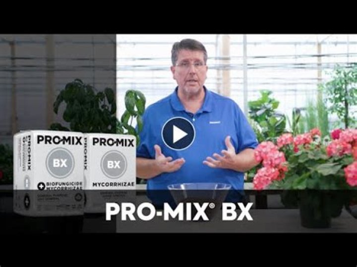 Is pro mix good for house plants?