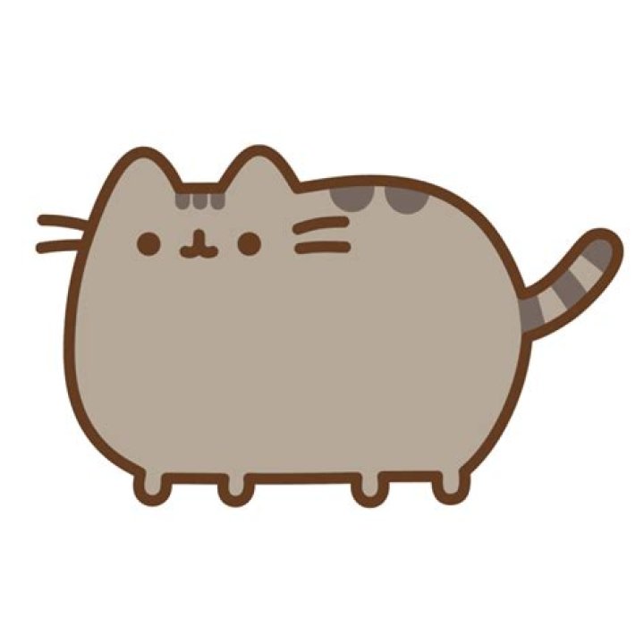 Is Pusheen a real cat?