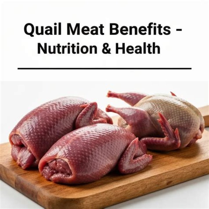 Is quail meat good for health?