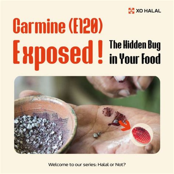 Is red dye made from cockroaches?